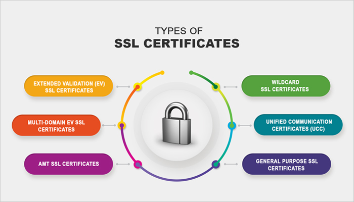 What are SSL Certificates Why Do You Need One?