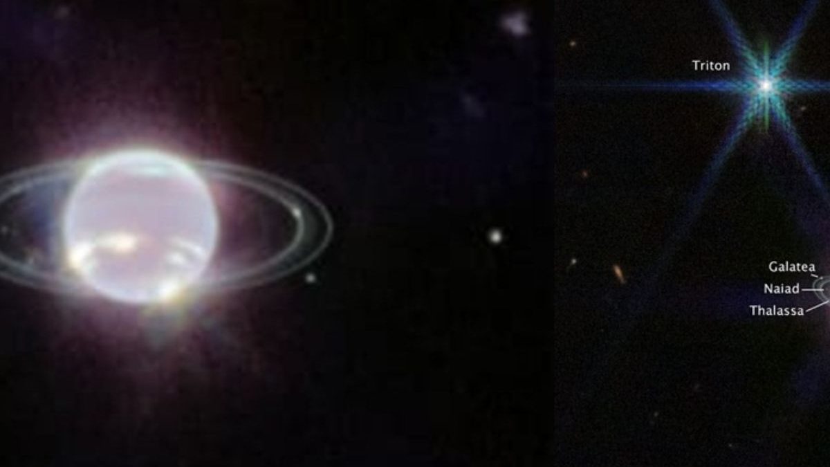 James Webb Space Telescope Captures Striking View Of Neptune’s Rings